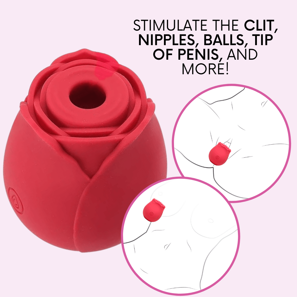 Euphoria Rose Sex Toy Air Pulse Stimulator - OmniPleasures