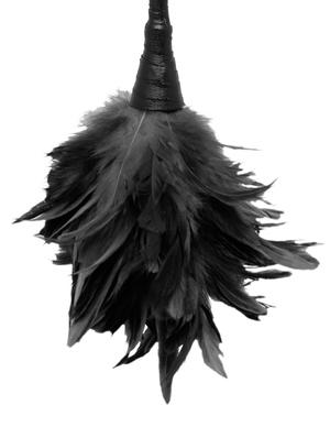 Fetish Fantasy Frisky Feather Duster Black - OmniPleasures