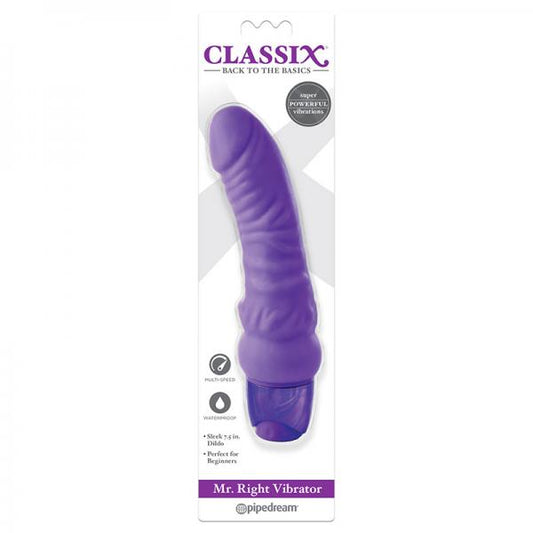 Classix Mr. Right Vibrator Purple - OmniPleasures